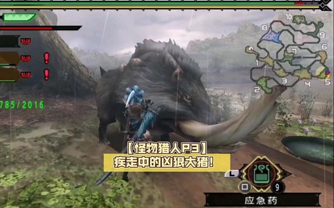 怪物猎人疾走是什么[图2]