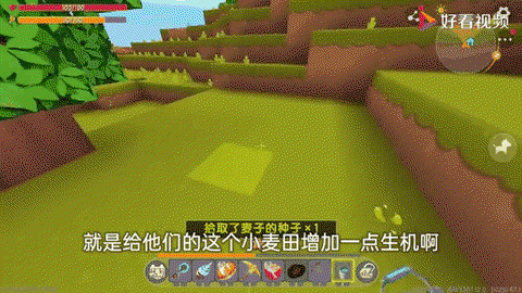 迷你世界怎么刷小麦[图2]