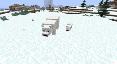 我的世界如何喂北极熊[图1]