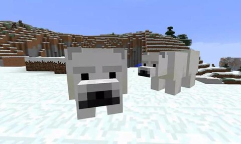 我的世界如何喂北极熊[图2]