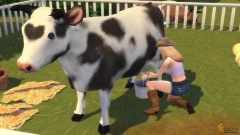 模拟人生4怎么养牛[图1]