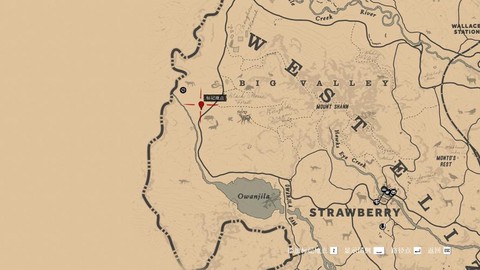 荒野大镖客2如何卖花[图2]