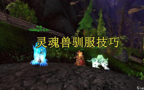 魔兽世界怎么抓灵魂兽[图2]