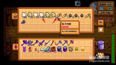 星露谷物语兔子的脚怎么得[图2]