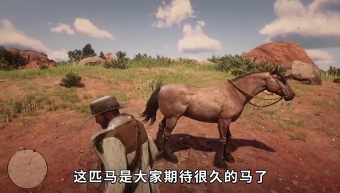 荒野大镖客可以驯什么[图2]