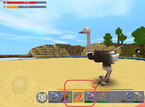 迷你世界鸵鸟吃什么食物[图2]