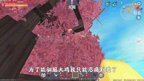 迷你世界的飞鸡怎么驯服[图2]