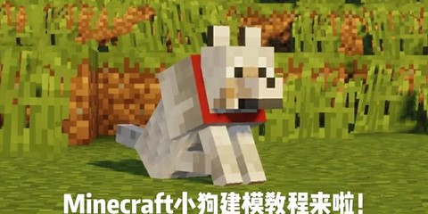 我的世界怎么和狗狗玩[图1]