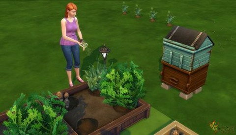 模拟人生4怎么浇水[图1]