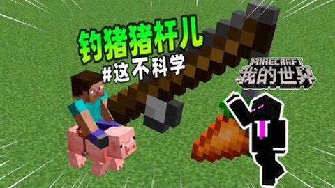 我的世界胡萝卜钓竿怎么用[图2]